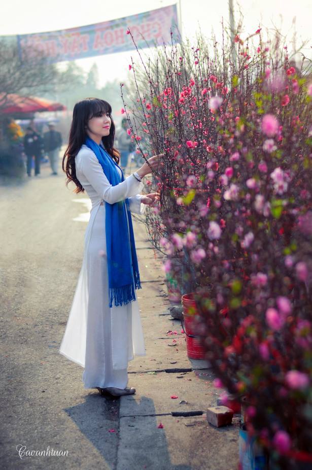 百多绘